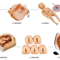 高級腹部觸診、分娩機轉(zhuǎn)綜合模型